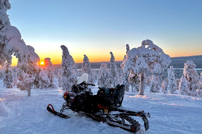 Full Day Activity with Snowmobiles in Rovaniemi - Key highlights at a glance