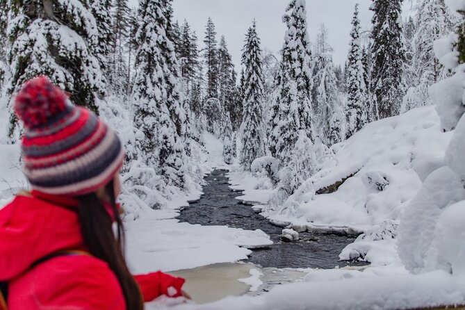 Full Day Hiking to Korouoma Canyon & Frozen Waterfalls - Price and value: is $210.25 per person worth it?