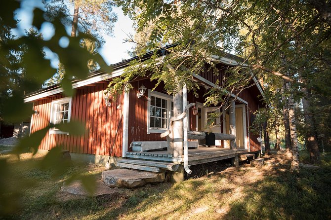 Full Day Lapland Tour, including Lunch and Dinner - A full-day Lapland rhythm: zoo animals, sauna heat, lake cold