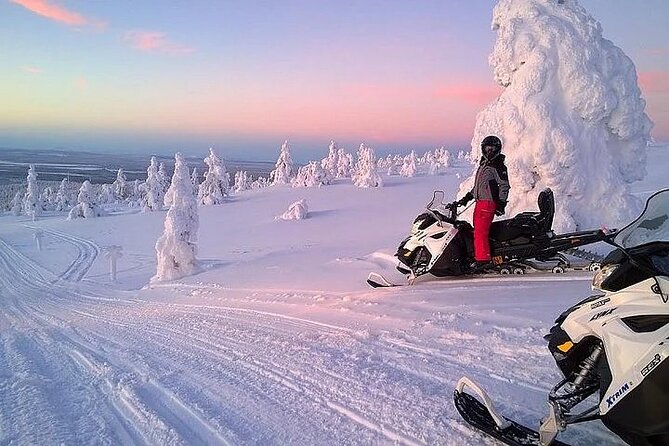 Full Day Snowmobile Safari - The big idea, in practical bullets
