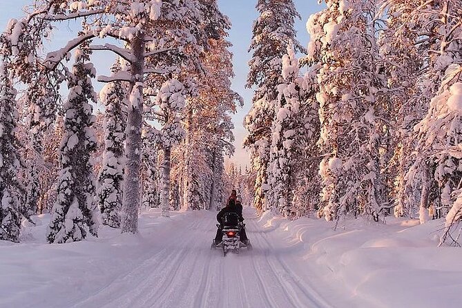 Full Day Snowmobile Safari - Riding rules and who drives versus rides