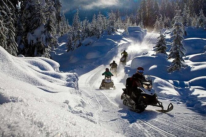 Full Day Snowmobile Safari - The Arctic Forest ride: scenery, pacing, and how guides handle the group
