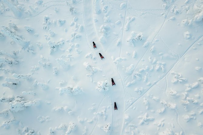 Full Day Snowmobile Safari into the Lappish Wilderness in Rovaniemi - Safartica Start Point and a Real 6-Hour Plan