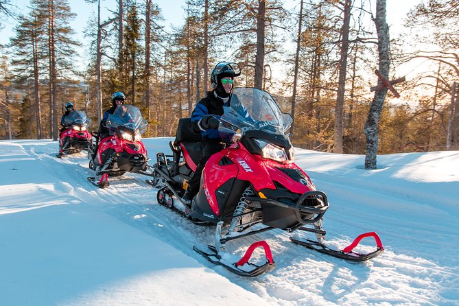 Full Day Snowmobile Safari into the Lappish Wilderness in Rovaniemi - Who This Lapland Snowmobile Safari Fits Best
