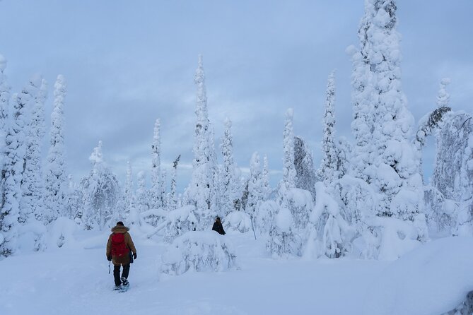Full-Day Snowshoeing Adventure in Amethyst Mine Pyhä Luosto - From Rovaniemi to Pyhä-Luosto, the day starts with movement