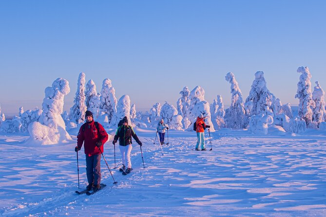 Full-Day Snowshoeing Adventure in Amethyst Mine Pyhä Luosto - Lunch around the fire, the warmth break you plan for