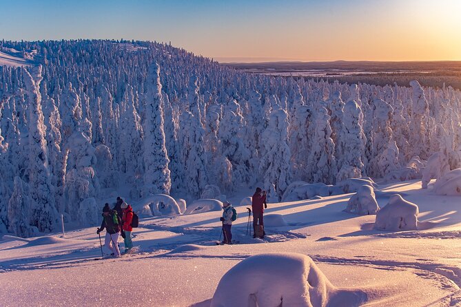 Full-Day Snowshoeing Adventure in Amethyst Mine Pyhä Luosto - Who this tour suits best, and who should think twice
