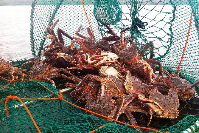 Full-Day Trip: King Crab Safari to Norway from Saariselkä Including Lunch - Harvesting King Crab: The Ice Hole Work You Can Help With