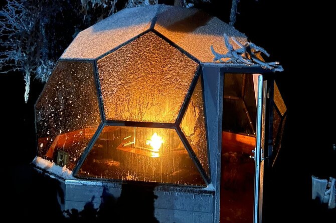 Glass Igloo Campfire Dinner under Northern Lights - Who should book this experience, and who should skip it