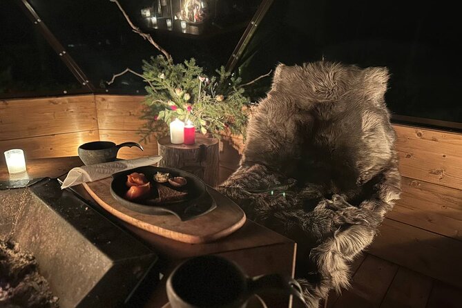 Glass Igloo Campfire Dinner under Northern Lights - Price and value: is $402.08 per person worth it?