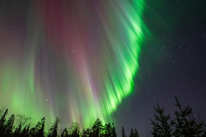 Go on a Northern Lights Photography Tour - Small Group by minivan - Price and Value: Why $180.22 Can Make Sense
