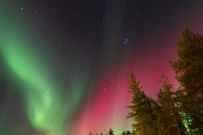 Guaranteed Aurora Hunting Tour from Rovaniemi with Local Guide - What Velu Brings to the Night: Safe Driving and Real Decisions