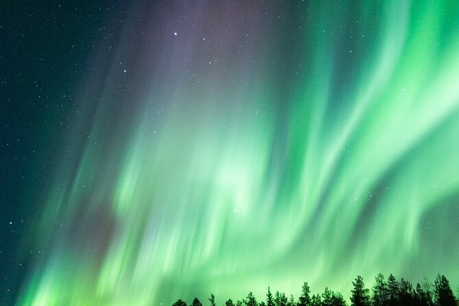 Guaranteed Aurora Hunting Tour from Rovaniemi with Local Guide - Price and Value: Paying for Odds, Not Promises