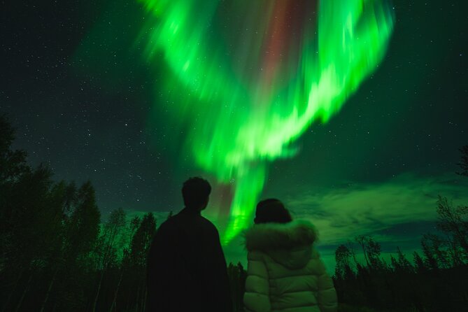 Guaranteed Northern Lights Group Tour with Photos - Aurora hunting from Rovaniemi, with a real safety net