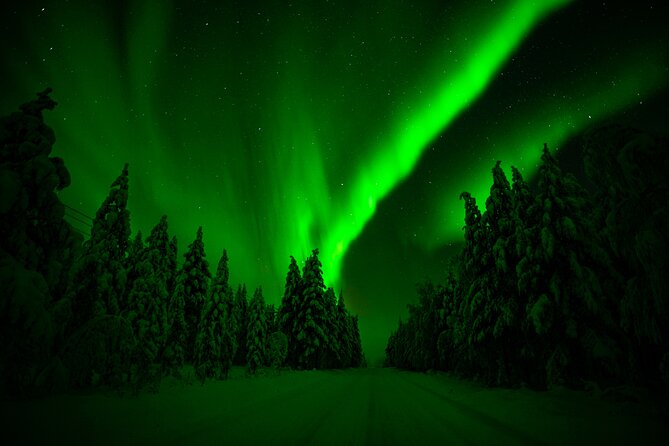Guaranteed Northern Lights Hunting Adventure in Lapland - Warm Gear, Hot Drinks, and a Small Group Pace