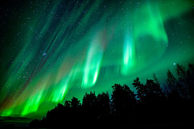 Guaranteed Northern Lights Hunting Adventure in Lapland - Multiple Stops in the Dark: what your night will feel like