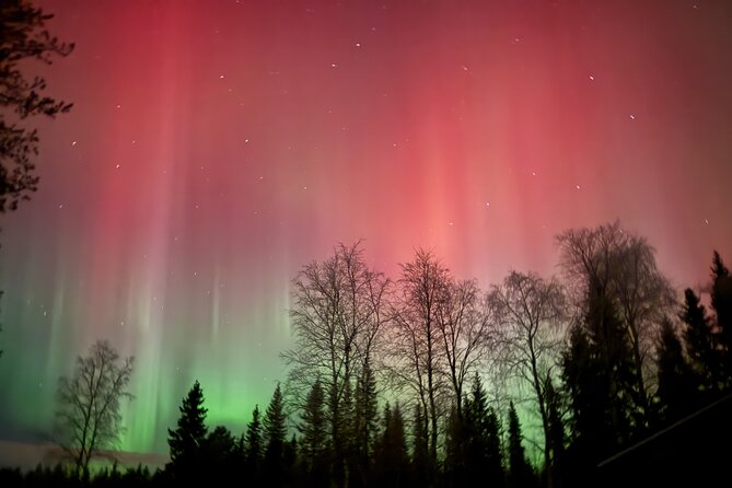 Guaranteed Northern Lights Tour in Rovaniemi - Lapland stop for 2 hours: what that time is really for