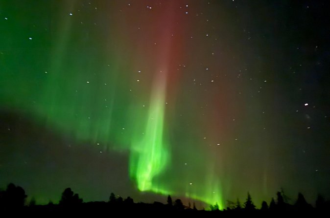 Guaranteed Northern Lights Tour in Rovaniemi - Who this tour fits best in Rovaniemi