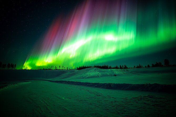 Guaranteed Northern Lights Tour with Photos - The Photo and Aurora Guarantee: How the Refund Works in Real Terms