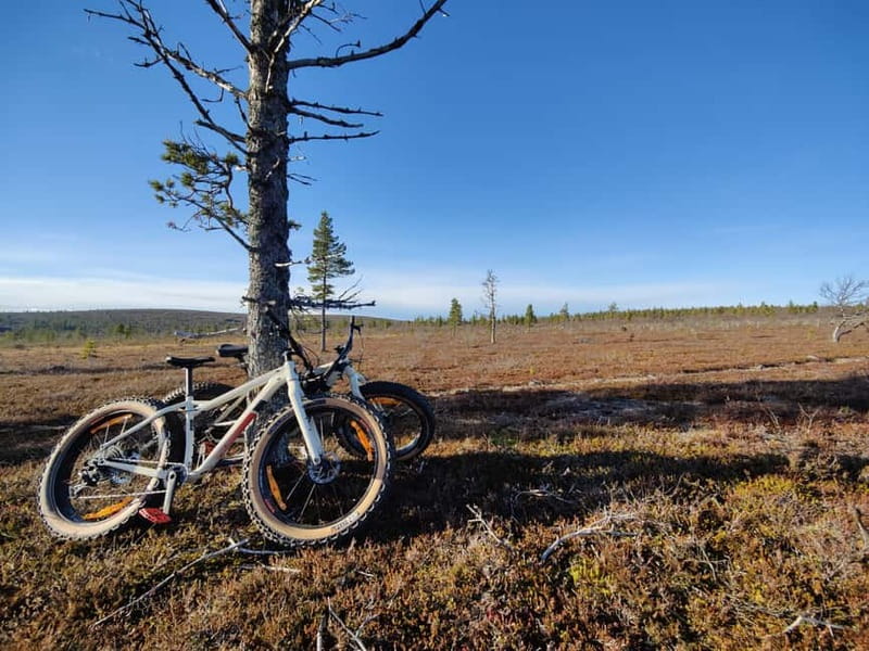 Guided Fatbike Tour in Ivalo - Why Ivalo Fatbikes Feel Local, Not Like a Demo