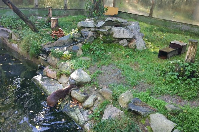 Guided Ranua Wildlife Park tour with Lunch, Small group adventure - Seasonal realities: what you may not see, like brown bears