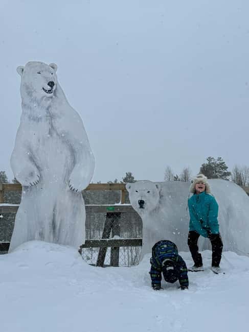 Guided Ranua Wildlife Zoo Tour with Lunch Buffet - Your guide matters: Michael and Aurora’s Arctic explanations