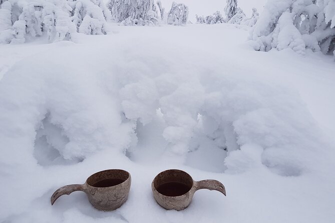 Guided reindeer farm visit and one hour sledge safari - Price and timing: is $156.03 worth it?