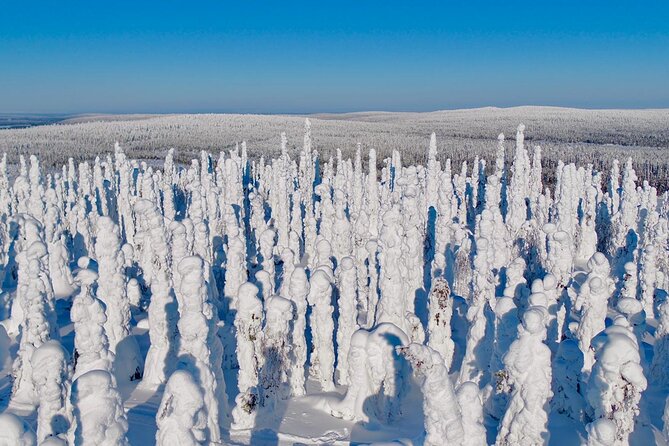 guiding services with local guides - Stop 2 in Lapland: where local knowledge turns plans into memories