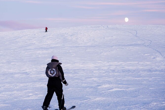 Half-Day Backcountry Skiing Tour in Levi with Photography Guide - Meeting Beyond Arctic Levi: Timing, Pickup, and Where to Start