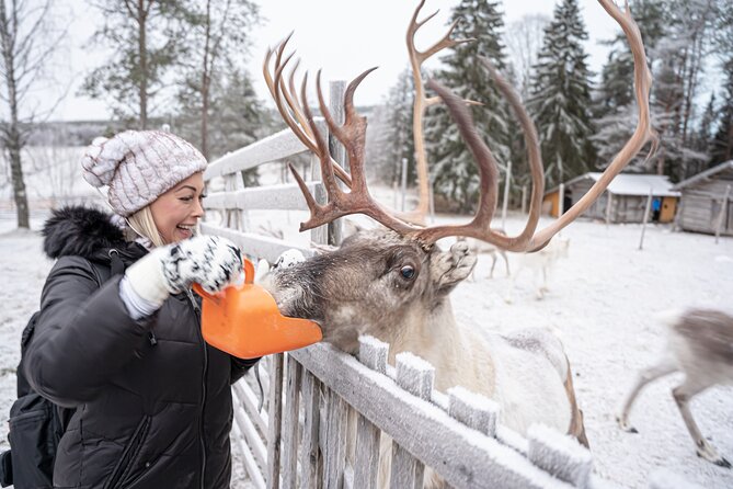 Half-Day Experience in Local reindeer farm in Lapland - Price and value check for a 3-hour Lapland morning