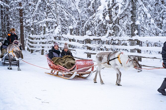 Half-Day Experience in Local reindeer farm in Lapland - Warm clothing and small-group pacing that feels human