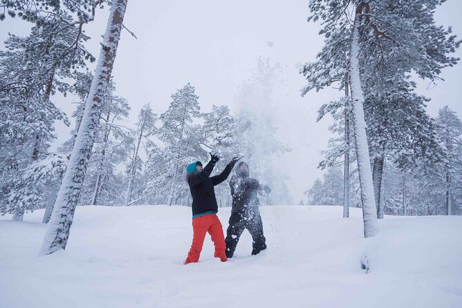 Half Day Guided Tour in the Wilderness of Levi - Stop 1 in Levi: departure, equipment, and your first warmup