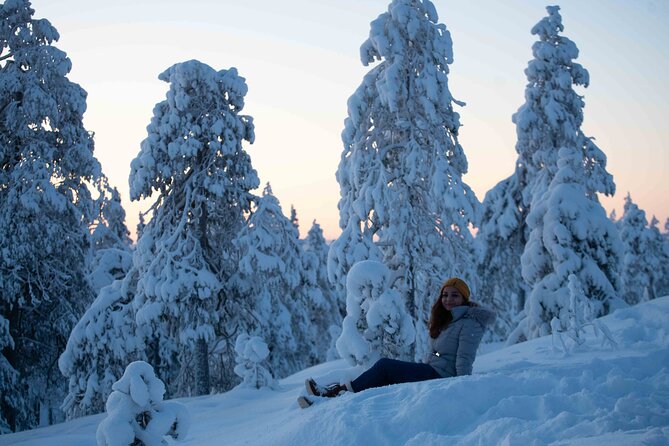 Half Day Guided Tour in the Wilderness of Levi - Who this half-day is perfect for