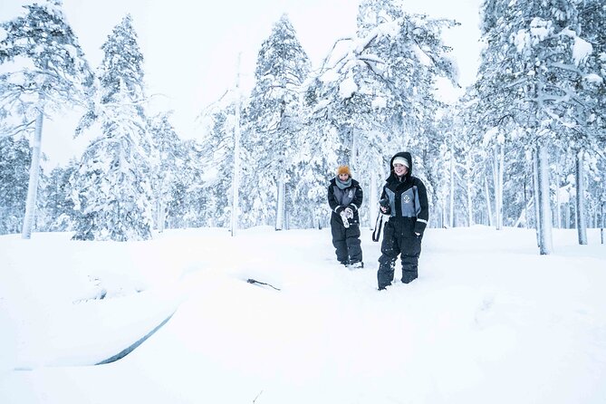 Half Day Guided Tour in the Wilderness of Levi - Should you book this Levi wilderness half-day?