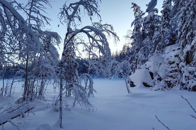 Half-Day Nature Adventure to Nuuksio National Park from Helsinki - Why Nuuksio Works as a Half-Day Nature Escape From Helsinki