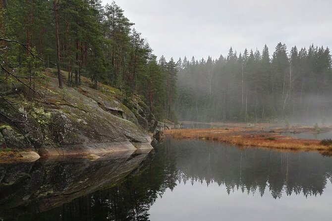 Half-Day Nature Adventure to Nuuksio National Park from Helsinki - The Start Point, Group Size, and How the Day Feels
