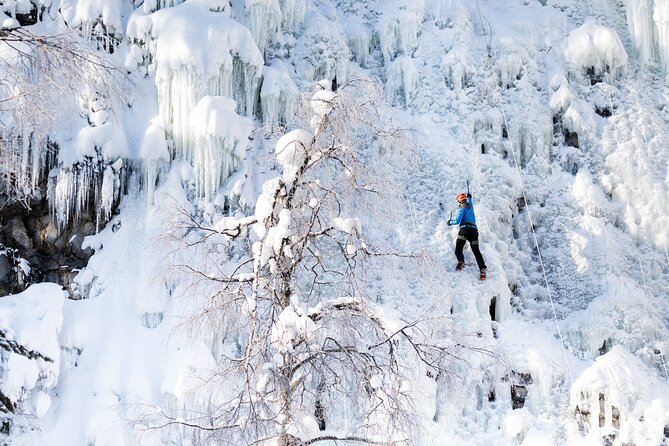 Half-Day Premium Ice Climbing in Pyhä Lapland - Meeting at Camp Kitchen & Bar, then gear up with Bliss