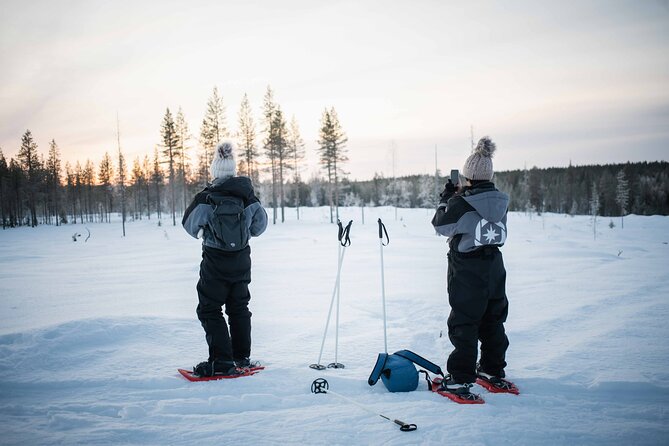 Half Day Snowshoe Hiking Adventure in Levi Lapland - Key Highlights Worth Noticing