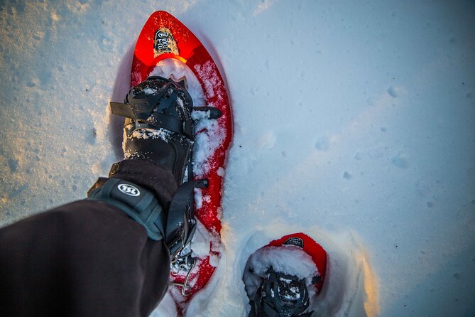 Half Day Snowshoe Hiking Adventure in Levi Lapland - The Fire Stop: Hot Drinks, Snacks, and a Real Breather