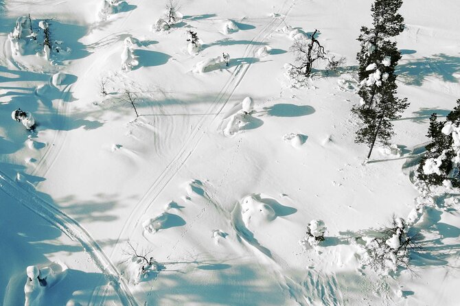 Half Day Snowshoe Hiking Adventure in Levi Lapland - Who Should Book This Snowshoe Hike