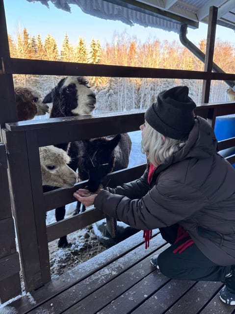 Helsinki: Alpaca Farm Tour with Guided Walk (private) - Who This Private Tour Suits Best (and Who Should Skip It)