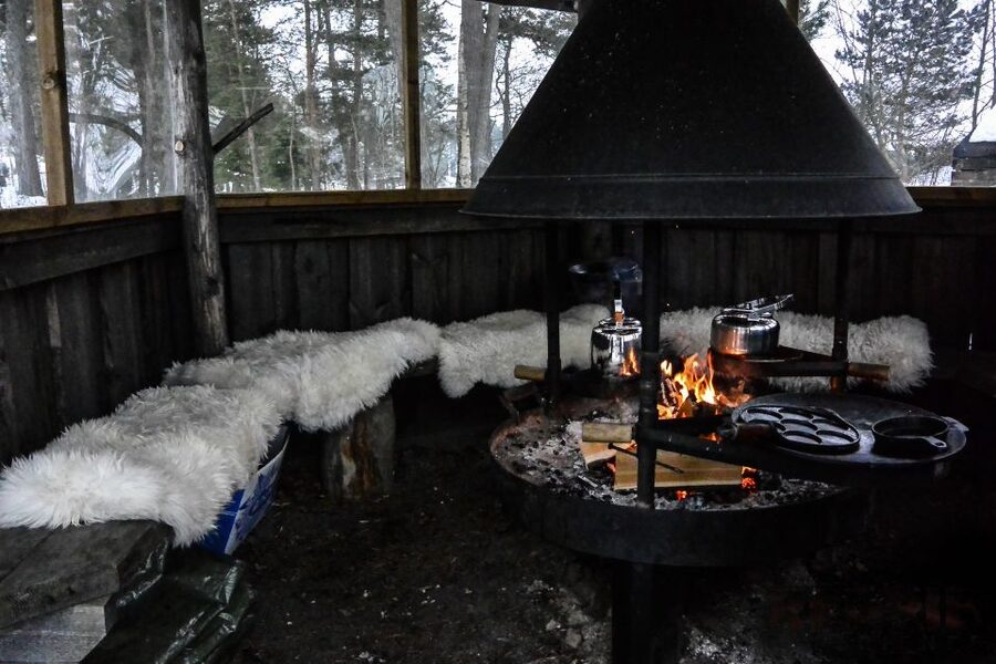 Helsinki: Arctic Ice Experience with Lunch - The Guided Nature Walk on a Nature State Island