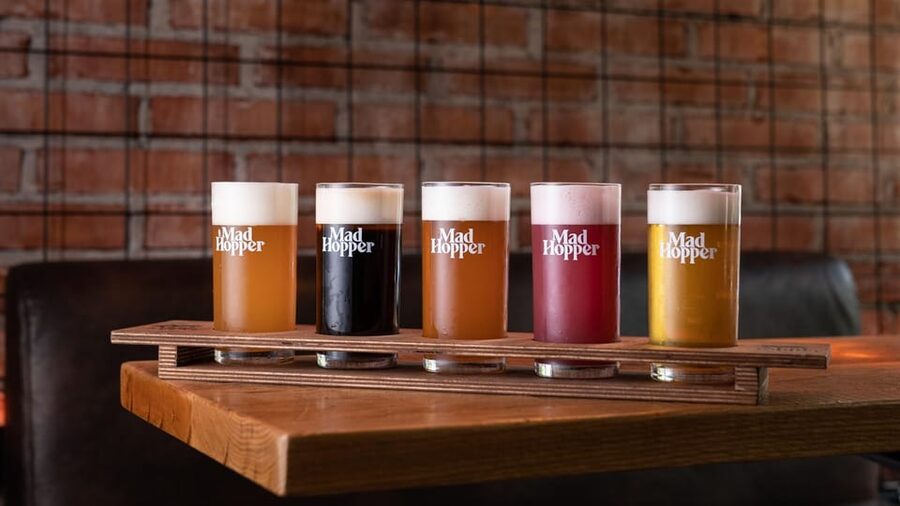 Helsinki: Brewery Tour at Mad Hopper Brewing Company - Key highlights you will care about
