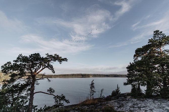 Helsinki by Kayak - Vuosaari and Kallahti: A Calmer Bay for Getting Your Kayak Legs