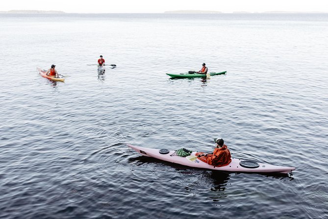 Helsinki by Kayak - Safety and Wind: How the Tour Handles Helsinki’s Weather Mood Swings