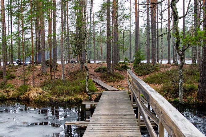 Helsinki: Nuuksio National park hiking with campfire lunch - Helsinki to Nuuksio: the pickup that sets the tone