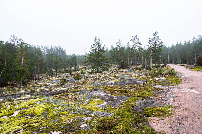 Helsinki: Nuuksio National park hiking with campfire lunch - Campfire lunch the Finnish way: berry juice, snacks, and real downtime