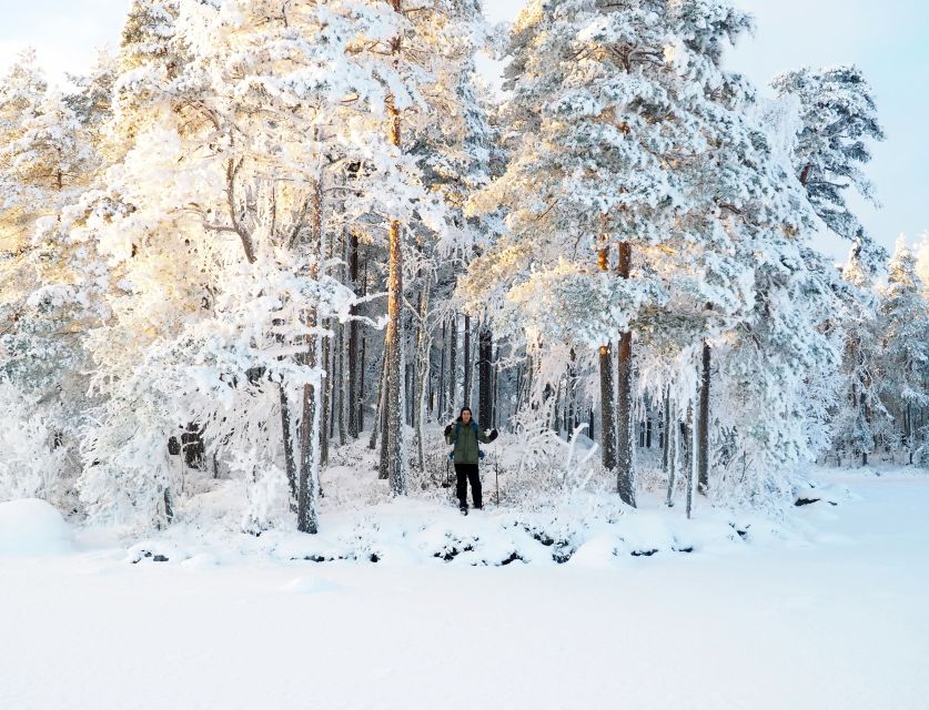 Helsinki: Winter Wonderland Liesjärvi National Park Hike - Who should book, and who should skip