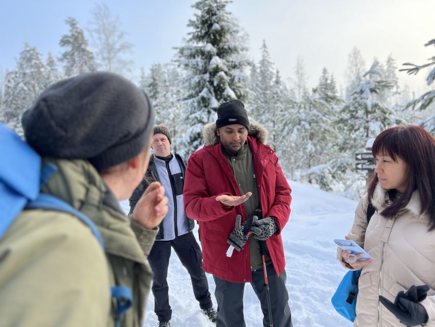 Helsinki: Winter Wonderland Liesjärvi National Park Hike - The winter forest effect in Liesjärvi National Park
