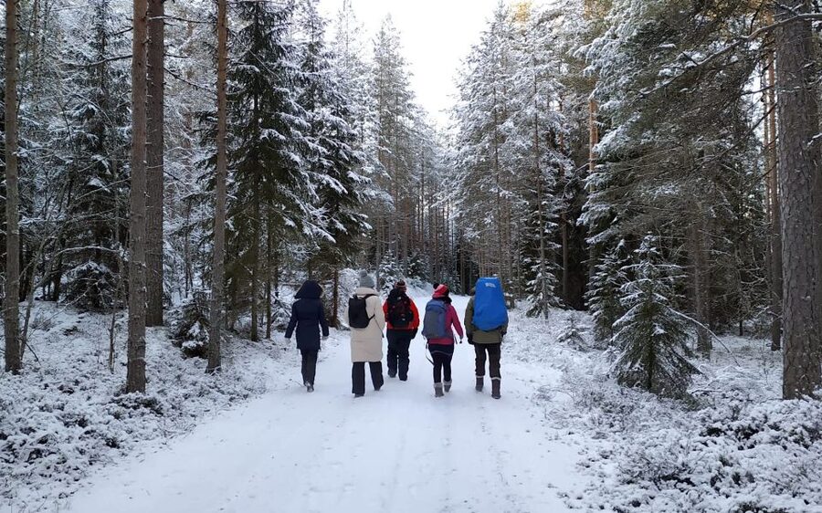 Helsinki: Winter Wonderland Liesjärvi National Park Hike - Winter foraging moments, berries under snow, and what your guide teaches